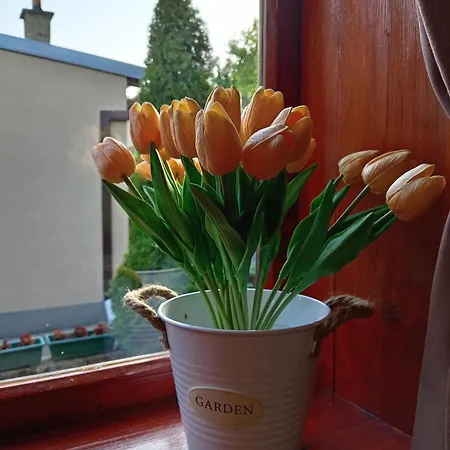 Apartman Ivana Vrdnik