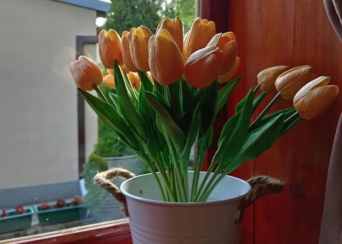 Apartman Ivana Vrdnik